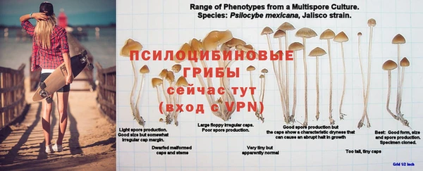 МДПВ Кинешма