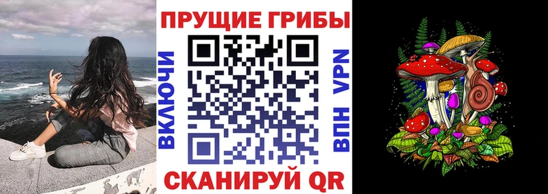 Купить где  Морозовск  Псилоцибиновые грибы ЛСД 